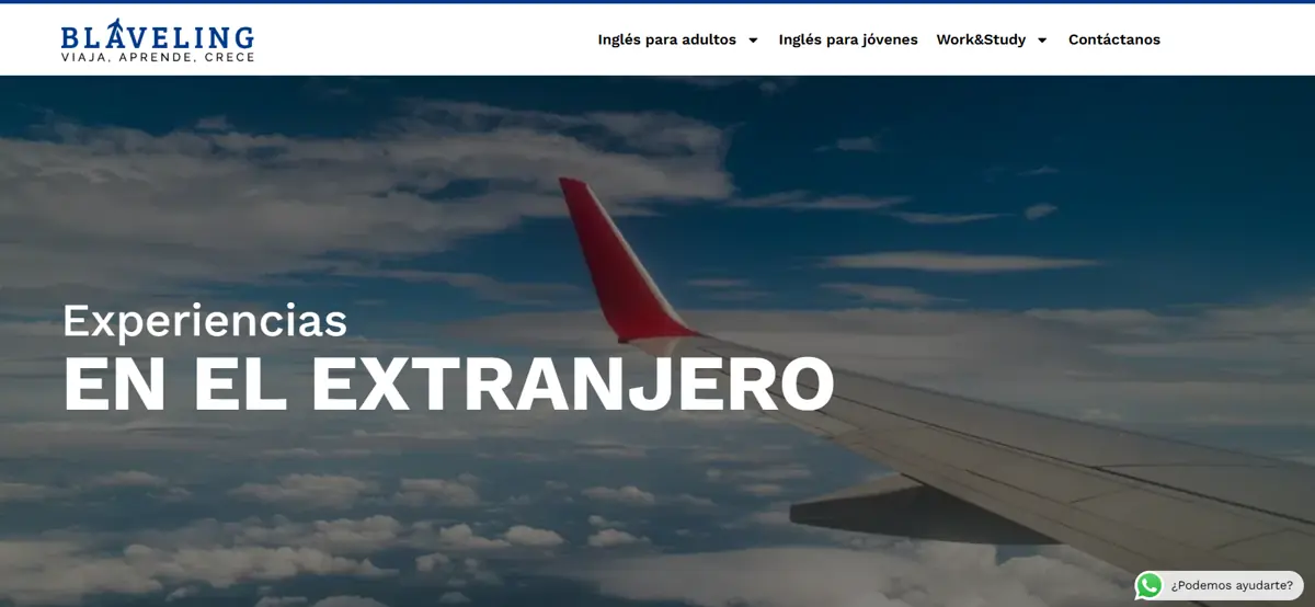 Resultados de la campaña Google Ads de Blaveling · Experiencias en el extranjero
